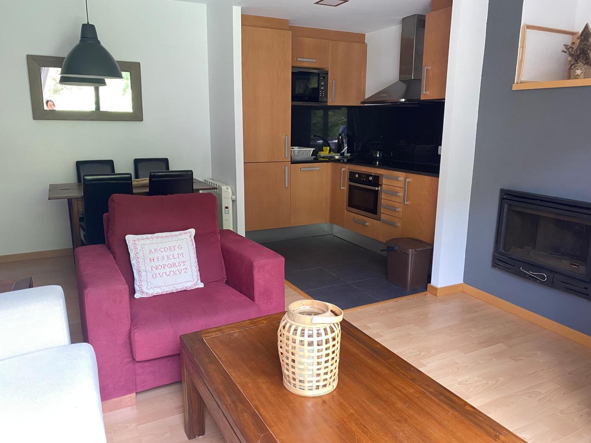 Valencia D'Aneu Apartament Hug Roger מראה חיצוני תמונה