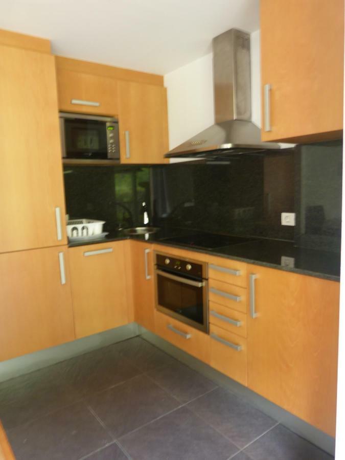 Valencia D'Aneu Apartament Hug Roger מראה חיצוני תמונה